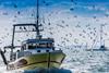 EU fishing