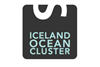 Iceland Ocean Cluster founder to chair conference