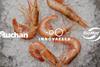 Innovafeed BioMar Auchan 2025
