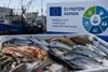 seafood on ice with a sign saying EU Protein Agenda in the background