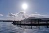 Scottish salmon farm showing a pen with mountains and sun behind