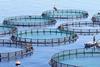 Fish farm