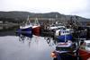 A plan to boost Scotland’s seafood sector has been awarded £700,000 in funding. Credit: Paul Farmer/CC BY-SA 2.0