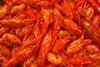 Louisiana crawfish