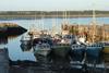 Canada is investing in its harbours to support the commercial fishing industry