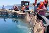 Participants received hands-on training in daily fish farm operations, including feeding, biomass monitoring, harvesting, and net cleaning ©FAO-GFCM_ Georgios Paximadis