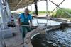 Kazakhstan sets ambitious aquaculture goals