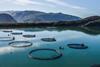 Aerial shot of aquaculture pens with low mountains in the background
