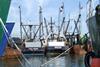 East Coast software schemes are claimed to obtain better prices for locally caught fish