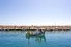 The quantity and quality of fish caught by Spanish fishermen has declined, says Oceana