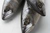 Iceland has set its 2014 mackerel catch quota at 147,574 tons