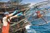 Illegal fishing activity has significantly decreased in Australia since 2005