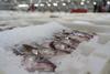 Catch recommendations from ICES for North Sea cod do not reflect the position in fisheries, says SFF Photo: SFF