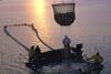 World demand for aquaculture supplies and equipment to grow 7.4% per year