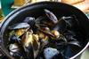 Visitors to Scottish ports love to sample freshly-landed seafood such as moules