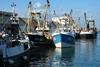 UK fishing boats