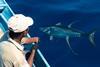 IPNLF handlining yellowfin