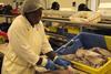 AIPCE-CEP is urging for greater action to support the fish processing and trading sector Photo: AIPCE-CEP