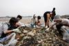 International Coastal Cleanup, Japan. Credit: Hans Sautter Aurora