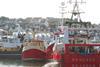 The NFFO is calling for bespoke support for the fishing sector Photo: Quentin Bates