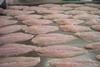 Pangasius production in Vietnam has grown from 500,000 tonnes to 1.5 million tonnes in the last 10 years