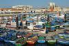 A fishing harbour in Portugal. Credit: Osvaldo Gago/CC BY-SA 3.0
