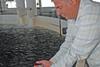 Dr Oguz Ucal, vice president of Kilic’s hatchery operations, admiring a handful of seabass fry.