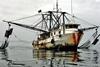 Satellite Application Catapult is creating a vessel-tracking system to help fight against IUU fishing. Credit: NMFS/NOAA