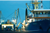 Copeinca has achieved Friend of the Sea certification for its fishmeal and fish oil