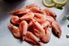 Greenland coldwater prawns