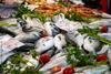 EU Fish Market Report 2025