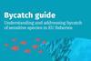Seas At Risk Bycatch Guide