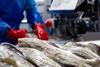 Processing cod