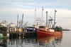 The NOAA has released two reports showing strong progress in the US fishing industry Photo: NOAA