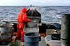 Alaska fisheries