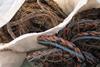 Ghost gear is a major cause of marine pollution