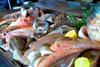 Sustainable seafood is on the up, says the SSI Review