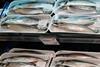 The picture shows a close up of Norwegian mackerel on a fish counter