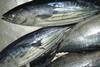 WWF Pakistan will support the Maldives' efforts for better skipjack tuna management