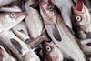 Russian fish producers call for support