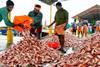 India’s fisheries boost scheme