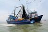 The MarinTrust Improver Programme has brought benefits to a Panama small pelagics fishery Photo: MarinTrust