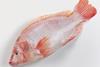 This is the first time fresh British-farmed tilapia has been available in the UK.