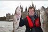 Hugh Fearnley-Whittingstall: “These codes make it that much easier for shoppers to find responsibly sourced fish”