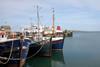 The UK fishing sector needs to unite to face challenges ahead, says SFF. Photo: Bob Jones
