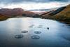 Finfish Farm in Scottish Highlands. image shows 8 pens in a loch with mountains surrounding