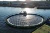 Solar-powered fish pen off the coast in Chile