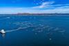 Offshore Fish Farm