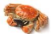 A Chinese hairy crab farm has become the world’s first crab farm of any kind to earn BAP certification