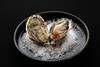 Morecambe Bay Oysters